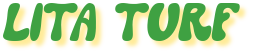 litaturf